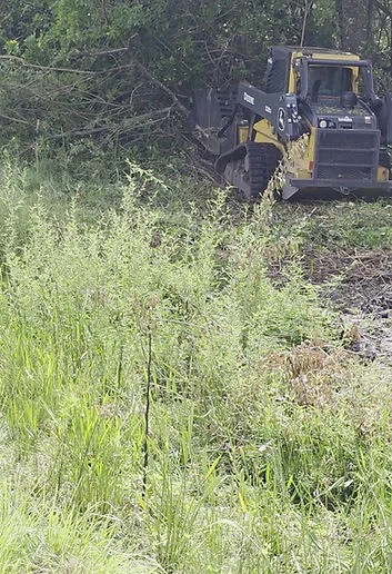Compact track loader with forestry attachment clearing dense vegetation and overgrown brush