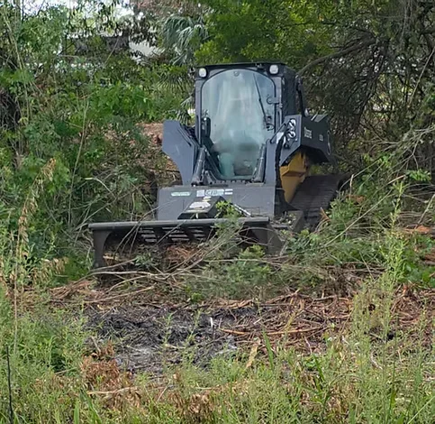 Compact track loader clearing dense brush and vegetation from overgrown lot