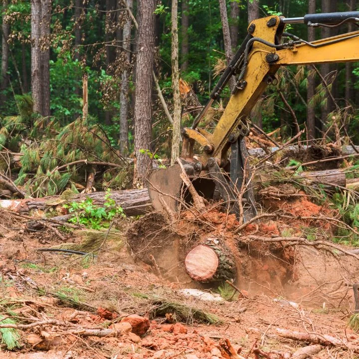 Yellow excavator clearing forest debris, logs, and brush from wooded site