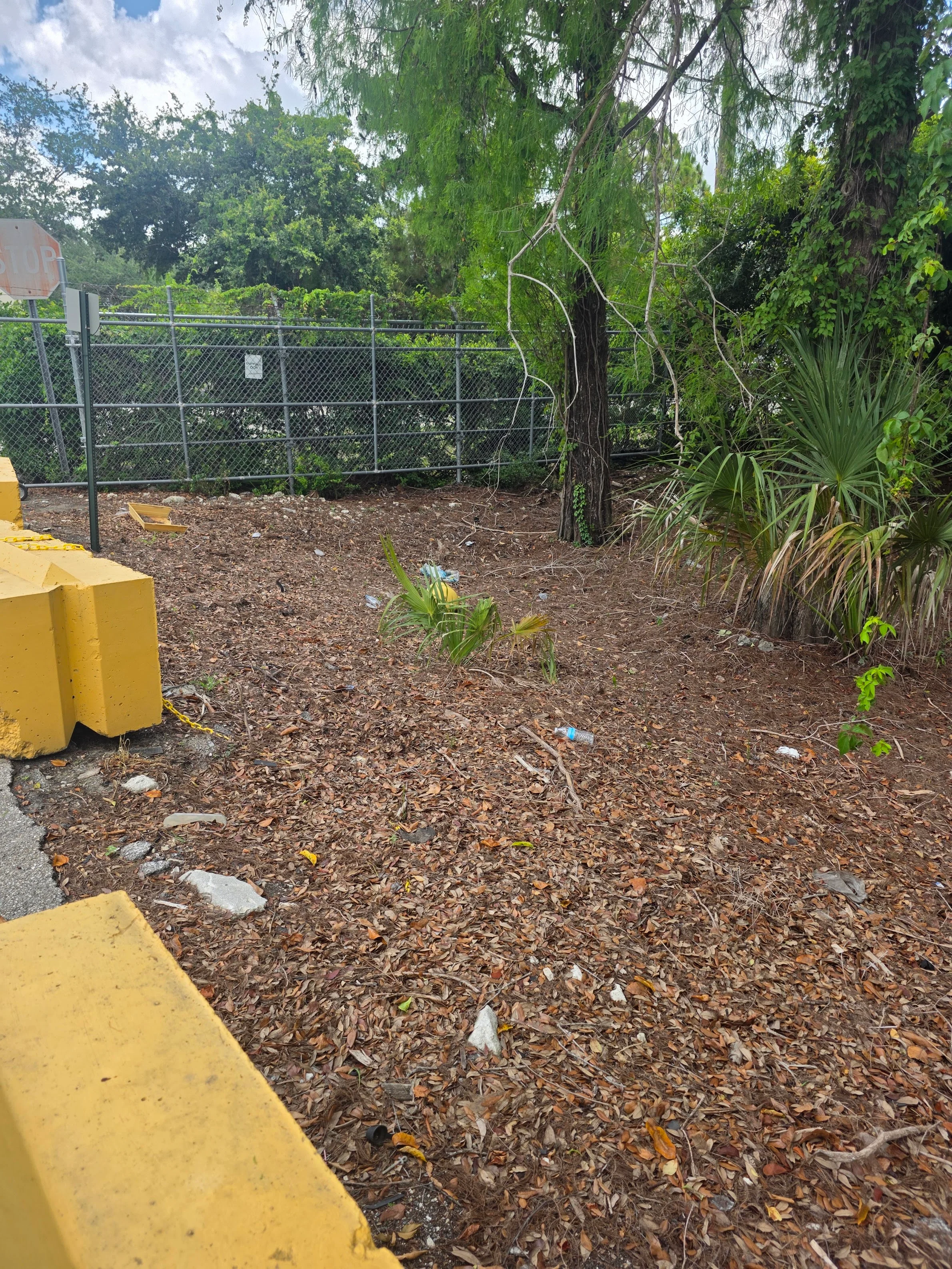 Mulched dirt area with chain-link fencing, yellow equipment, and native plantings