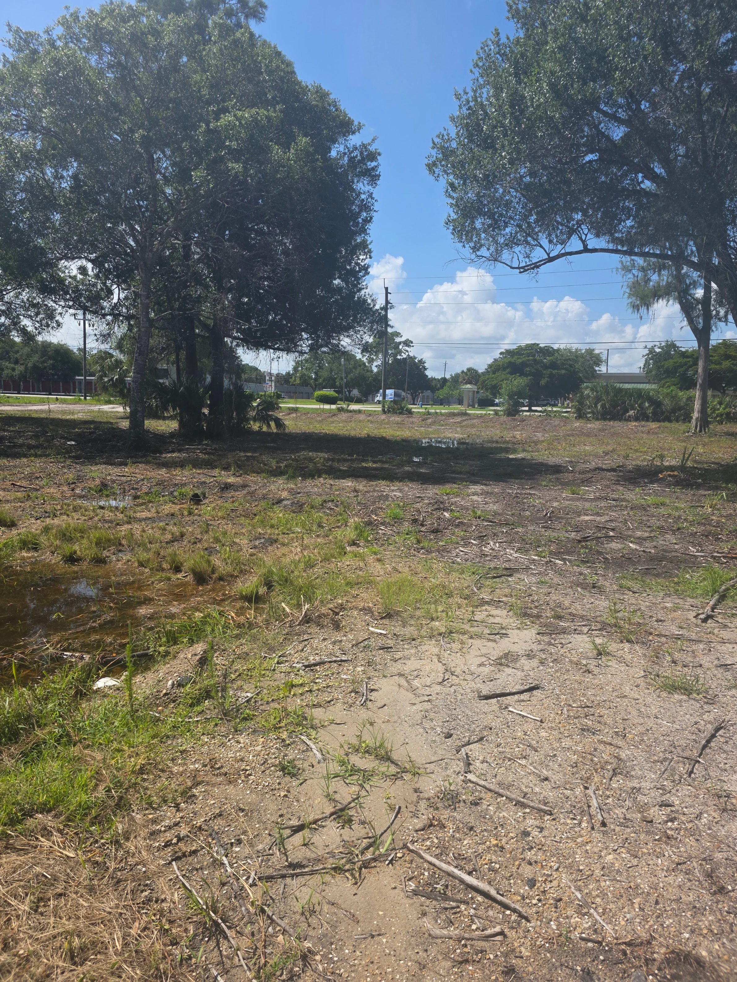 Cleared land with removed vegetation and debris, mature trees preserved