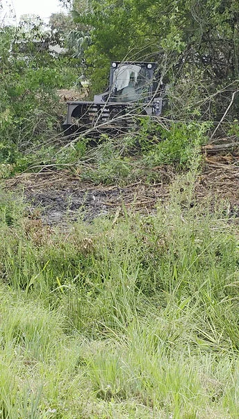 Tracked clearing equipment removing dense vegetation and brush from overgrown property