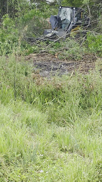 Excavator clearing dense brush and overgrown vegetation from property lot